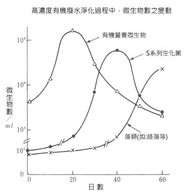 含高濃度有機物質之廢水，在淨化過程中微生物群之變動